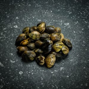 Vongole